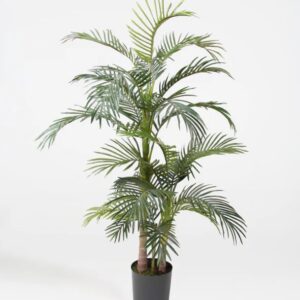 Artificial Areca