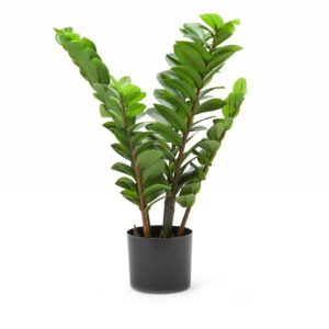 Emerald Artificial Plant
